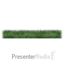 Long Flowing Grass PowerPoint animation
