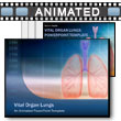Vital Organ Lungs  PowerPoint template