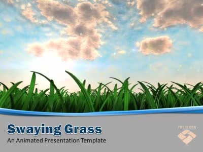 PowerPoint Template