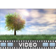 Organic Growth - Video Background