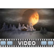 Wintery Landscape Video Background