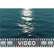 Water Reflect - Video Background