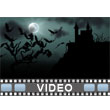 Castle Bats Video Background