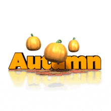 Pumpkin Patch Halloween | 3D Animated Clipart for PowerPoint -  