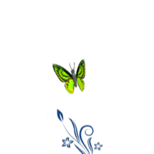 In this artistic animated clipart, a butterfly flies as a blue vine grows with it.