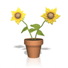 Two potted sunflowers sway back and forth in this animated clipart.