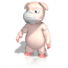 A pig wears an isolation mask in this medical animated clipart.