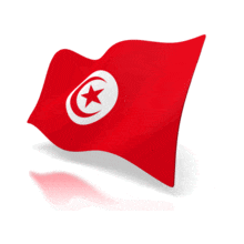 An animated flag of the national flag of Tunisia.