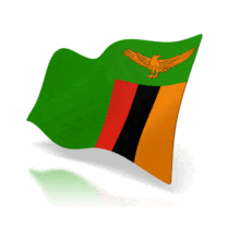 The national flag of Zambia animated at a perspective angle.