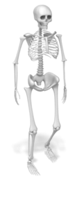 Animated gif sample: Skeleton Walking in Perspective Angle