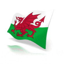 The official flag of Wales animated at a perspective angle.