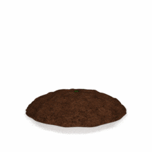 A plant sprouts from then soil. This clip-art can represent growth.