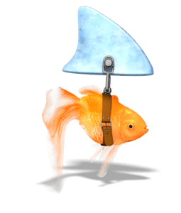 Animated gif sample: Goldfish Swimming Threat