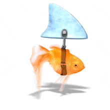 An animation of a goldfish swimming with a fake shark&#039;s fin attached.