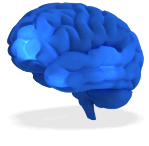 Animated gif sample: Brain Neurons Firing