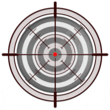 This animation shows a target in a set of crosshairs.