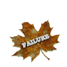 This concept animation shows a old decaying leaf with the word failure on it, it then turns over to a vibrant alive green leaf with the work success on it.