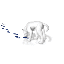 An animation of a dog sniffing the scent from a trail.
