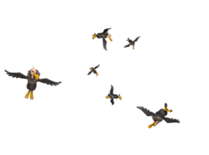https://content.presentermedia.com/content/animsp/00020000/20358/vultures_circling_300_wht.gif