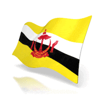 This animation shows the Brunei flag at a perspective angle waving.