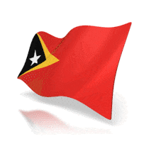This animation shows the East Timor flag at a perspective angle waving.