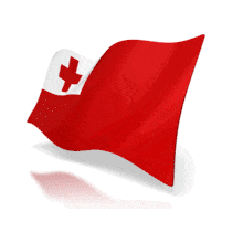 This animation shows the Tonga flag at a perspective angle waving.