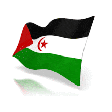 This animation shows the Sahara flag at a perspective angle waving.