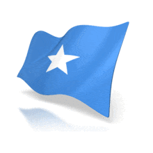 This animation shows the Somalia flag at a perspective angle waving.