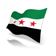 This animation shows the Syria flag at a perspective angle waving.