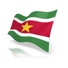 This animation shows the Suriname flag at a perspective angle waving.