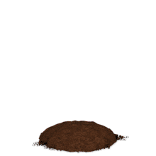 This animation shows a single heart going into some soil and a plant growing from that soil with multiple new hearts on it.