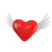 This animation shows a heart with wings flying