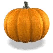 A pumpkin floats and spins