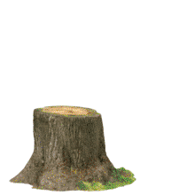 A turkey pops up from behind a stump and holds out a sign with your custom message before hiding again.