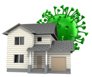 Animated gif sample: House Giant Virus