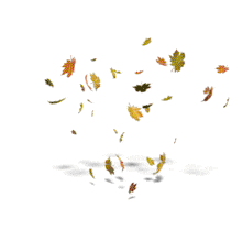 This leaves blowing animation shows many leaves swirling around as being blown by the wind.