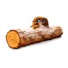 Elevate your presentations with Bump on Log Animation: a playful visual metaphor that adds charm to your content. Engage and captivate your audience!