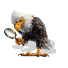 Eagle searching animation