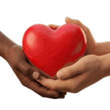 Download this PowerPoint Animation of hands holding a heart to convey love and connection in your presentations.