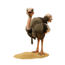 Download this engaging PowerPoint Animation featuring a charming ostrich character. It’s perfect for creative presentations.