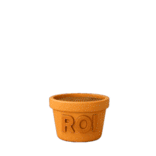 Download this PowerPoint Animation featuring a money tree concept.