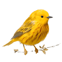 Download this Warbler Perched On Twig PowerPoint Animation.