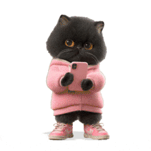 ownload this animated cat in a pink hoodie using a smartphone. A perfect, relatable visual for social media, tech, and modern lifestyle presentations.