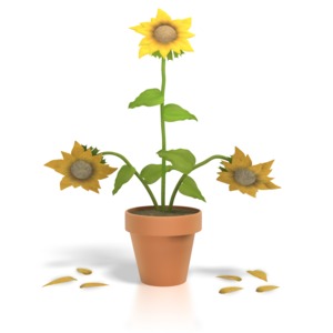 A sunflower in a pot thrives as the ones around it wither in this nature-themed clipart.