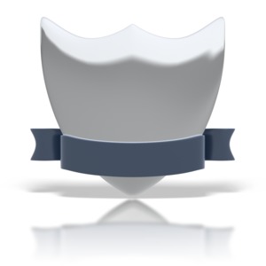 A silver and blue badge and ribbon.  