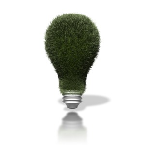 An image of a light bulb covered in green grass.  An environmental awareness or Go Green concept.