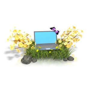 In the 3D clipart a laptop with a butterfly on it sits upon a bed of grass which is surrounded on each side by a bush of flowers. This graphic clipart could be used in presentations including business, nature, green living, technology and nature.