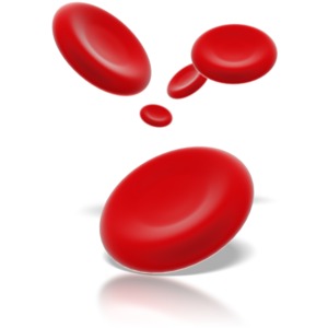 In this clipart five red blood cells are suspended.  This clipart graphic could be used in PowerPoint presentations including medical, science, research, and educational.