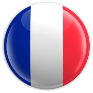 An image of France&#039;s flag on a badge.