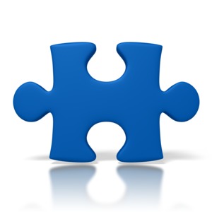 An image of a single blue puzzle piece.
